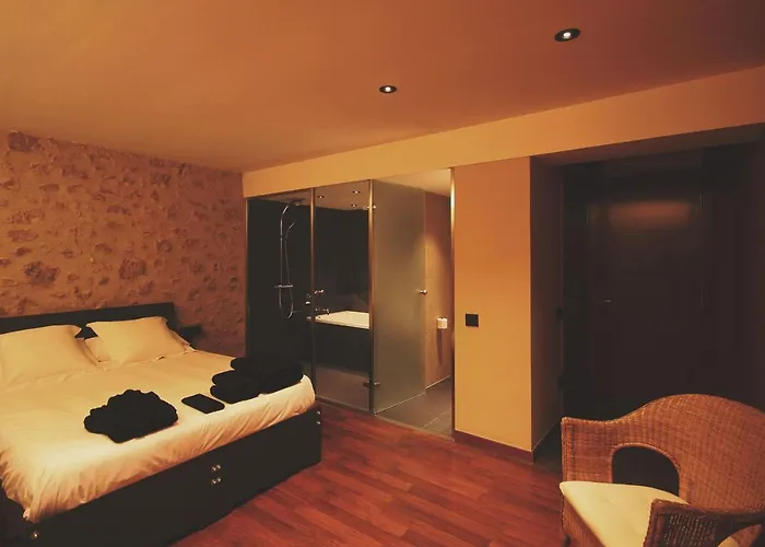 Hotel Mas Oliveres Pla De Palau